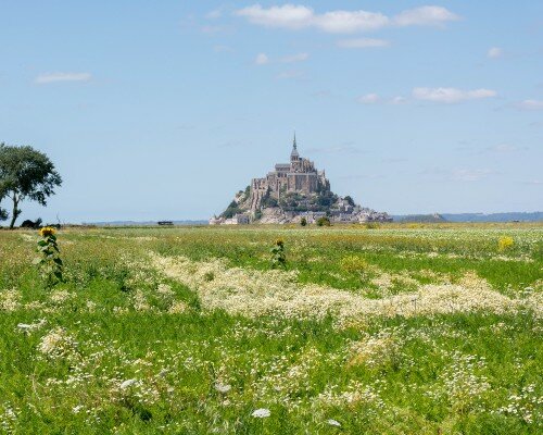 Mont-Saint-Michel Countryside